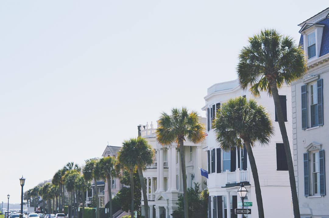 13221418_10154189251498735_2166060099211678795_o