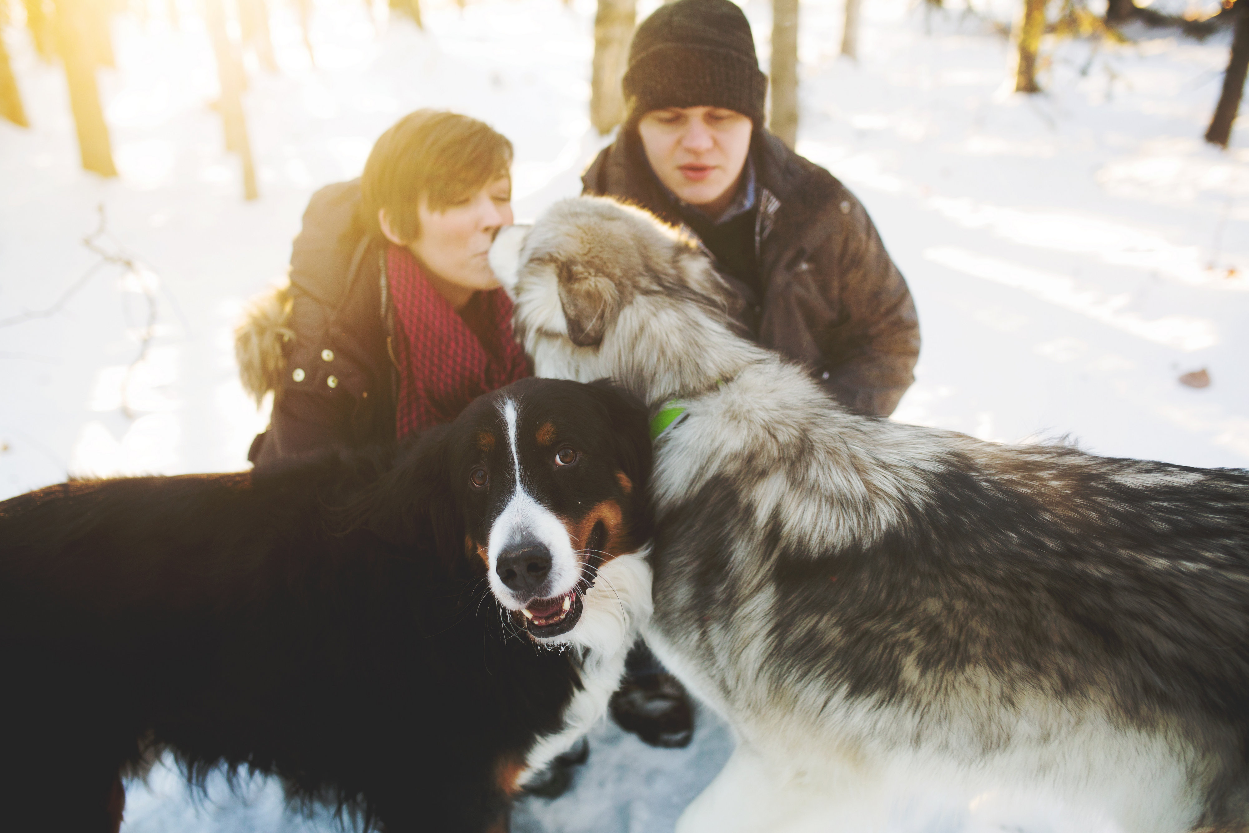 View More: http://sonsanddaughtersphotography.pass.us/fox2016